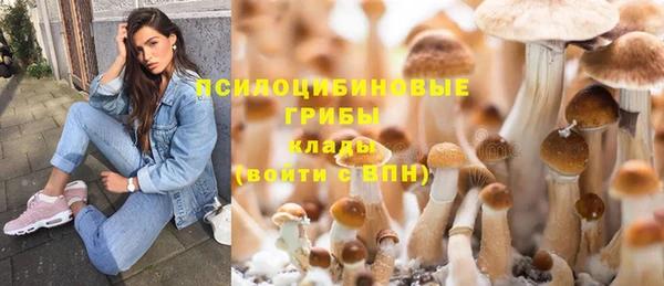синтетический гашиш Киреевск