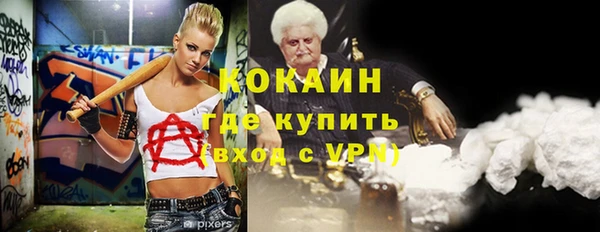 крисы Коряжма